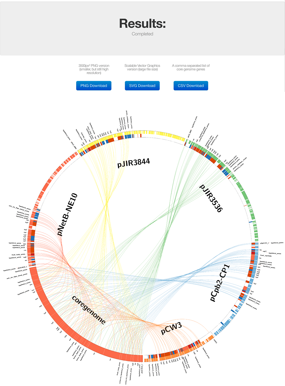 Results Visualization
